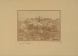 Schafe in den Bergen by Albert Steiner, photograph, sold Dec 2023