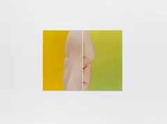 Sechs Diptychen by Thomas Florschuetz, 1992, photograph, offered Mar 2026