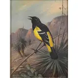 Oriole by Harry Curieux Adamson, oil on canvas board, sold Jul 2022