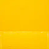 Orange Color Field by Domenick Capobianco, Oil on Canvas, sold Jun 2024