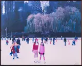 The Skaters by Tina Barney, 2004, Chromogenic Print in Colors, sold Jun 2024