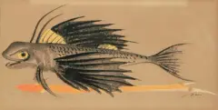 Fliegender Fisch by Hans Erni, gouache, sold Sep 2023