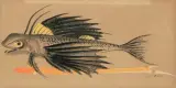 Fliegender Fisch by Hans Erni, gouache, sold Sep 2023