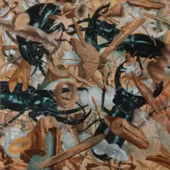 Hirschkäfer", 2002 by Urs Aeschbach, oil, offered Mar 2023