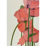 Six Poppies by Art Hansen, 1999, watercolor, sold Aug 2022