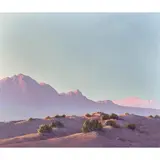 Untitled by John Hilton, oil on board, sold Aug 2022