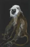 Affe by Hans Erni, 1973, gouache, offered Dec 2022