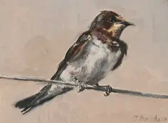 Swallow by Jaco Benade, oil on canvas board, sold Mar 2024