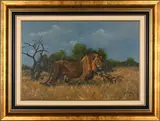 Lion by Nico Coetzee, oil on canvas mounted on board, sold Mar 2024