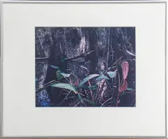 Untitled by Eliot Porter, Photograph, sold Jul 2024