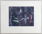 Untitled by Eliot Porter, Photograph, sold Jul 2024