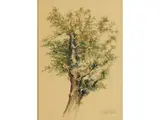 Baumstudie by Fritz Haid, watercolor, sold Sep 2024