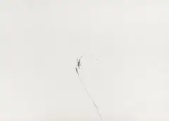 Ohne Titel by Jan Groth, 1989, lithograph, sold Jun 2022