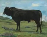 Jungstier auf der Alp by Albert Lugardon, oil on paper, offered Jun 2022