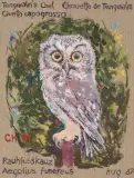 Rauhfusskauz / Aegolius funereus", 1987 by Fritz Hug, oil, sold Jun 2022