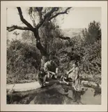 Young Family by the Pond by Imogen Cunningham, 1953, gelatin silver print, sold Oct 2022