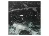 Untitled by Anselm Kiefer, mixed media, sold Dec 2022