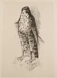 Eule by Alois Carigiet, 1949, lithograph, sold Mar 2022