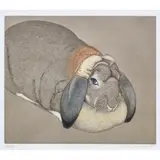 Sally by Beth Van Hoesen, 1979, etching in colors, sold Oct 2022