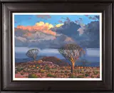 Landscape with Quivertrees and Distant Storm by Richard Beyleveld, oil on canvas mounted on board, sold May 2024