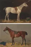 Gegenstücke: gesattelter Brauner / gesattelter Schimmel by Emil Volkers, 1895, oil on canvas, sold Dec 2021