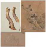 Grasende Ziege by Jean-Antoine Linck, watercolor, offered Dec 2021