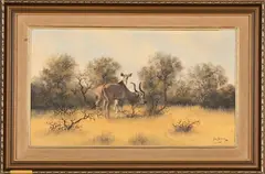 Kudus in the Bushveld by Nico Coetzee, oil on canvas mounted on board, sold Jul 2024