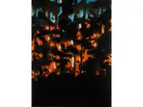 Untitled by Alex Katz, screenprint, offered Sep 2022