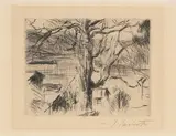 Baum am Walchensee by Lovis Corinth, 1923, etching, sold Sep 2021