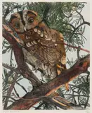 Hulotte by Robert Hainard, 1934, woodcut, sold Sep 2021