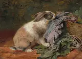 Kaninchen beim Knabberen am Kraut by Felix Schlesinger, oil on panel, sold Jun 2021