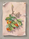 Erdbeerstrauch & Jasius Falter", 1960 by Niklaus Stoecklin, oil, offered Jun 2021