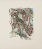 Vogel im Schilf by Robert Hainard, 1961, color woodcut, sold Jun 2021