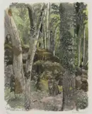 Luchs im Wald by Robert Hainard, 1962, color woodcut, sold Jun 2021