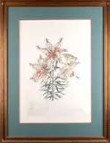 Lily Chapelle by Salvador Dalí, lithograph, sold Jul 2025