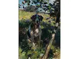 Jagdhund Unter Jungem Baum by Heinrich Johann von Zügel, 1850 Murrhardt - 1941 München, oil on canvas, sold Jul 2017