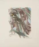 Vogel im Schilf by Robert Hainard, 1961, color woodcut, offered Mar 2021