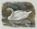 Schwan by Robert Hainard, 1980, color woodcut, sold Mar 2021