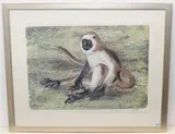 Langur by Hans Erni, 1973, color lithograph, sold Mar 2021