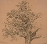 Die Baumkrone einer knorrigen Eiche by Josef Kriehuber, charcoal, sold Dec 2020