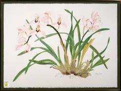 Orchids by Margo Bors, watercolor on paper, sold Nov 2022