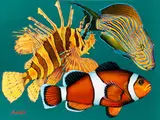 Fische des Great Barrier Reef by Helmut Koller, acrylic, sold Dec 2023