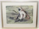 Langur by Hans Erni, 1973, color lithograph, offered Dec 2020