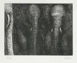 Elephants by Henry Moore, 1979, etching, sold Sep 2020