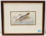 Bergmolch by Johannes Diem, 1986, watercolor, sold Sep 2020