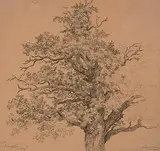 Die Baumkrone einer knorrigen Eiche by Josef Kriehuber, charcoal, offered Jun 2020