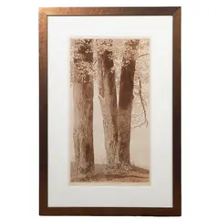 Untitled by Michael Volpe, Etching, sold Oct 2026