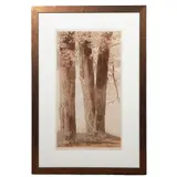 Untitled by Michael Volpe, Etching, sold Oct 2026