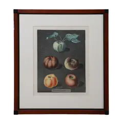 Untitled by George Brookshaw, Aquatint, sold Oct 2026
