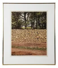 Untitled by Frank Gohlke, Photograph, sold Oct 2026